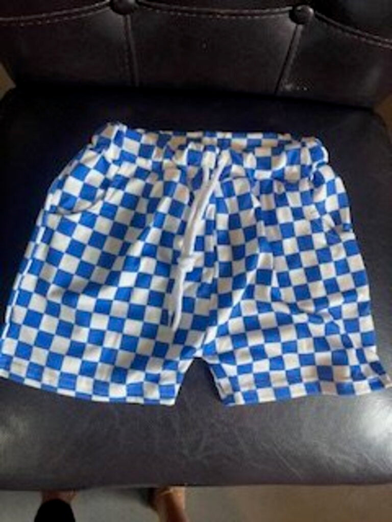Blue and White Check Shorts