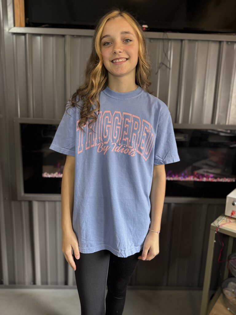 Triggered by Idiots Graphic Top