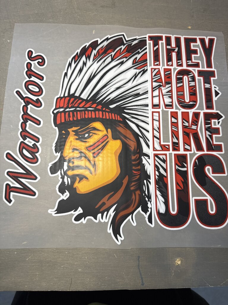 They Not Like Us Full Color Transfer