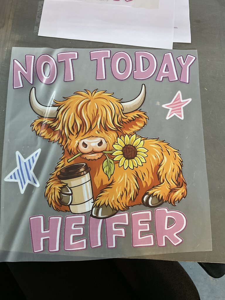not today heifer Full Color Transfer