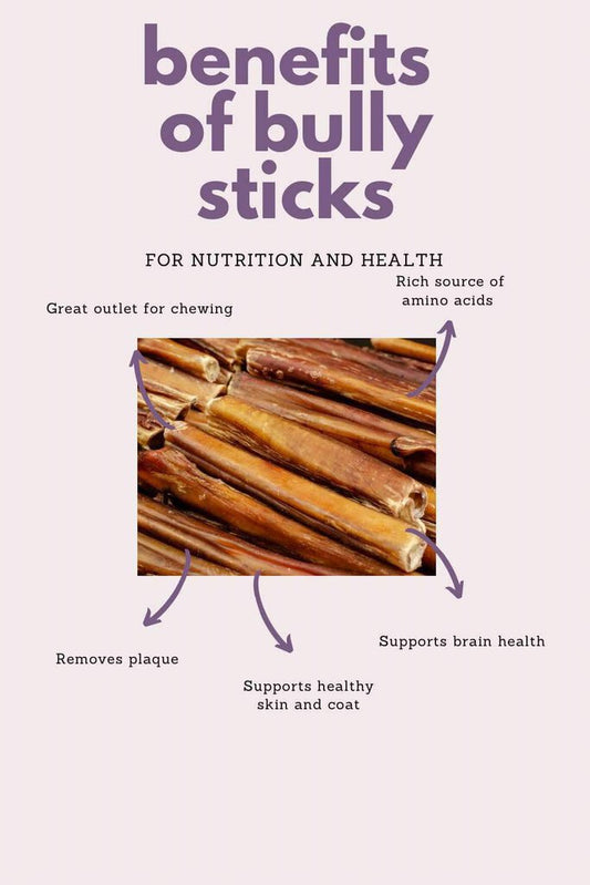 Medium Bully Sticks (3)