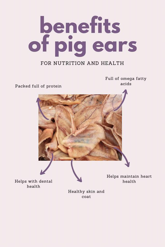 Pig Ear