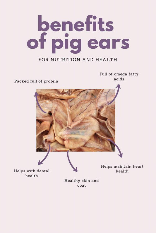 Pig Ear