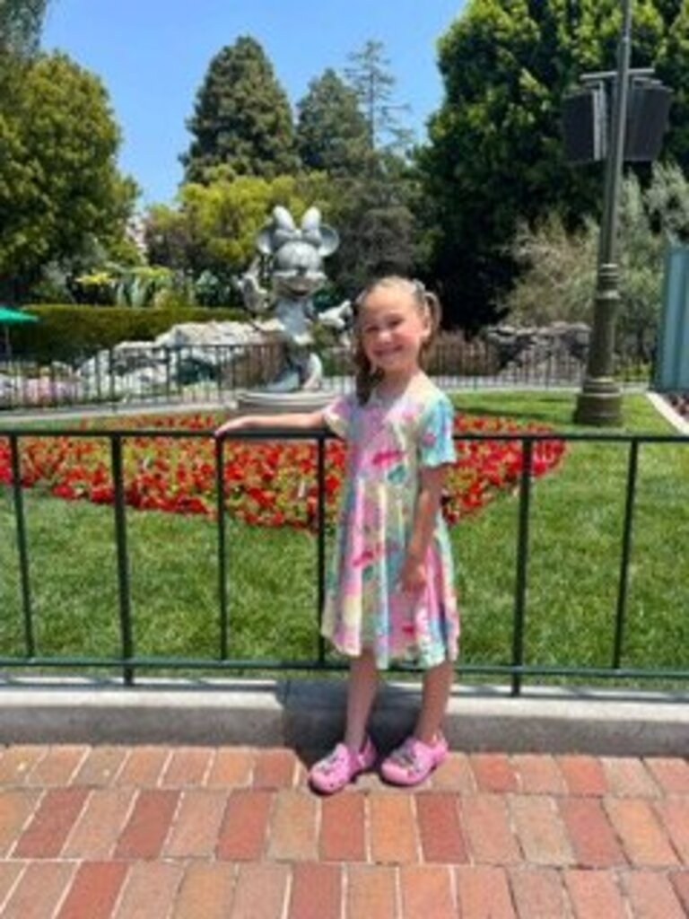 Disney Dress