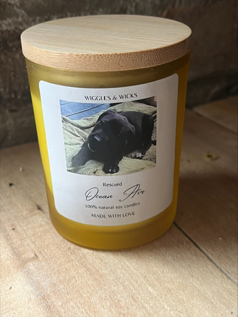 Ocean Air Candle