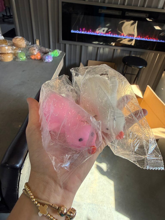 Duck Squichies (Various Colors)