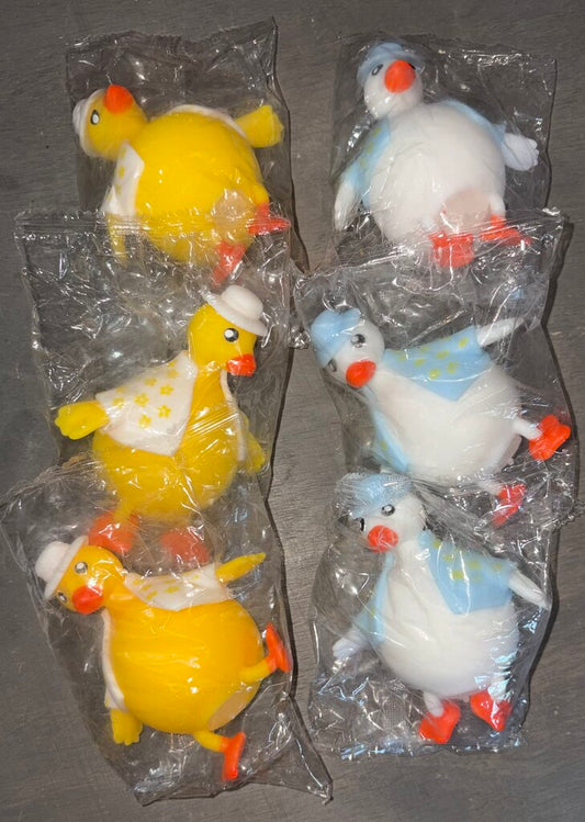 Country Duck Squish