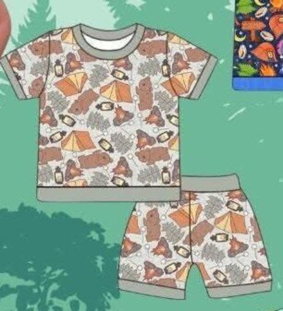Bear Set