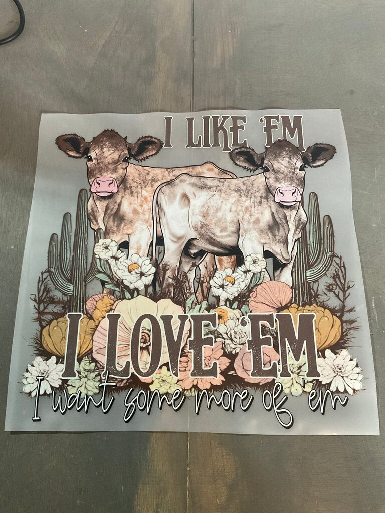 I like'em i love'em Full Color Transfer