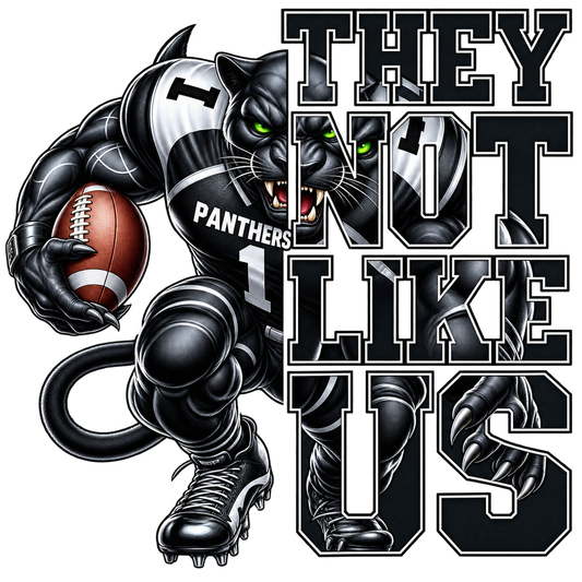 Panthers They not like us Transfer