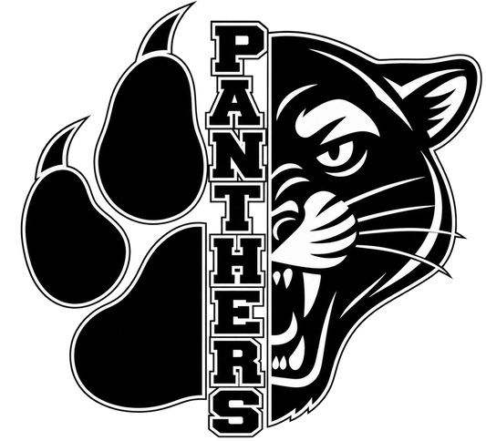 Panthers DTF Transfer